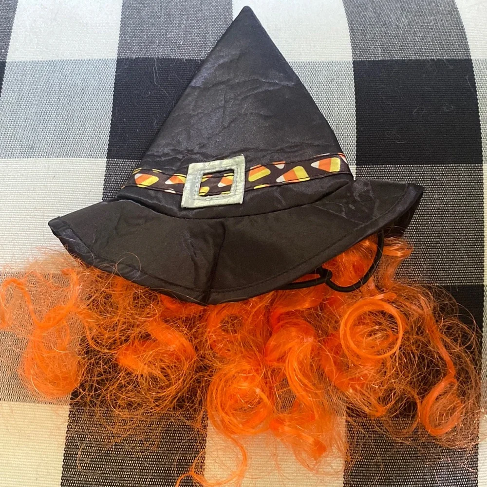 Cat Halloween Hat